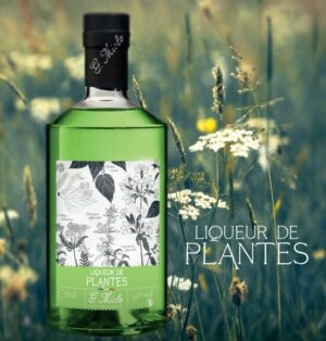 MICLO_Liqueur de Plantes_square